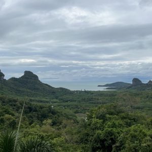 4 Day 3 Night Suratthani – Palaui Island