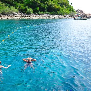 1 Day trip Snorkeling Nangyuan & Koh tao