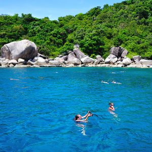 1 Day trip Snorkeling Nangyuan & Koh tao