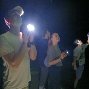 Night Safari trekking
