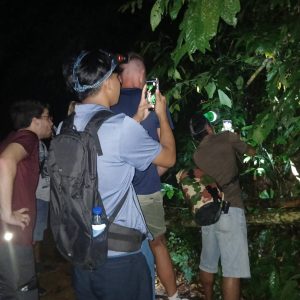 Night Safari trekking