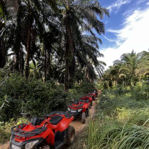 ATV adventure drive experience